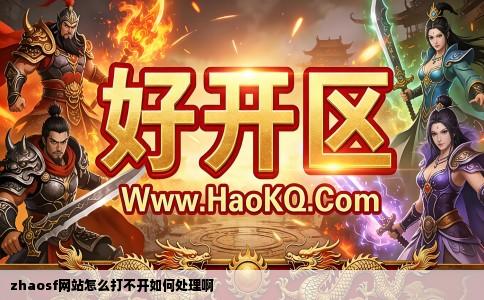 zhaosf网站怎么打不开如何处理啊