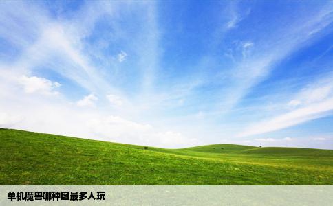 单机魔兽哪种图最多人玩