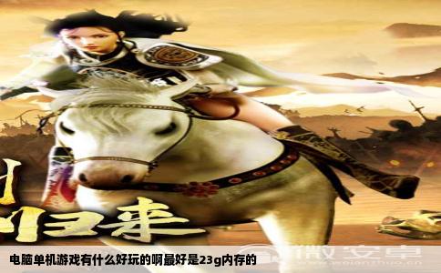 电脑单机游戏有什么好玩的啊最好是23g内存的