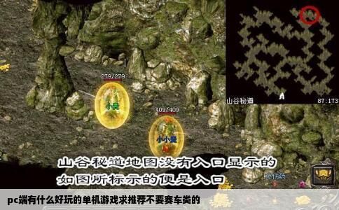 pc端有什么好玩的单机游戏求推荐不要赛车类的