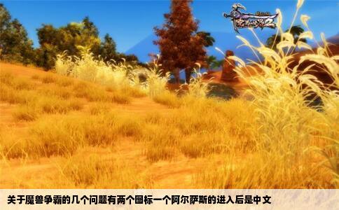 关于魔兽争霸的几个问题有两个图标一个阿尔萨斯的进入后是中文