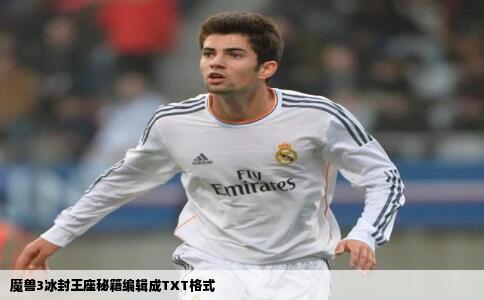 魔兽3冰封王座秘籍编辑成TXT格式