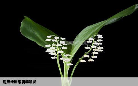 魔兽地图编辑器触发