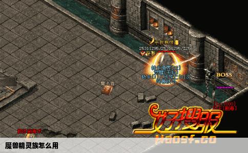 魔兽精灵族怎么用