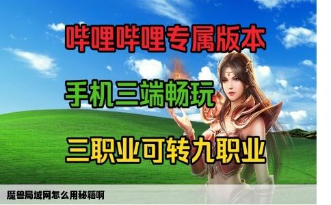 魔兽局域网怎么用秘籍啊