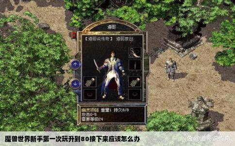 魔兽世界新手第一次玩升到80接下来应该怎么办