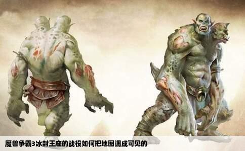 魔兽争霸3冰封王座的战役如何把地图调成可见的