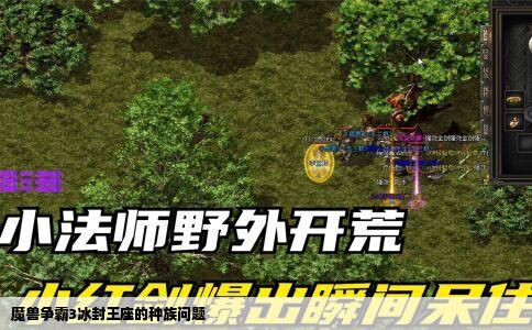 魔兽争霸3冰封王座的种族问题