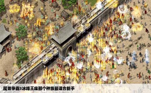 魔兽争霸3冰峰王座那个种族最适合新手