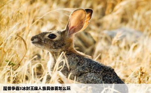 魔兽争霸3冰封王座人族具体要怎么玩