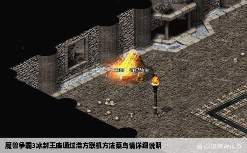 魔兽争霸3冰封王座通过浩方联机方法菜鸟请详细说明