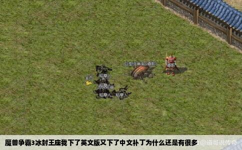 魔兽争霸3冰封王座我下了英文版又下了中文补丁为什么还是有很多