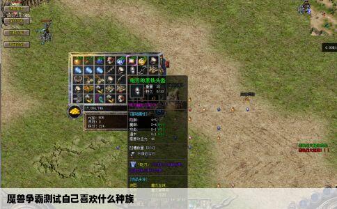 魔兽争霸测试自己喜欢什么种族