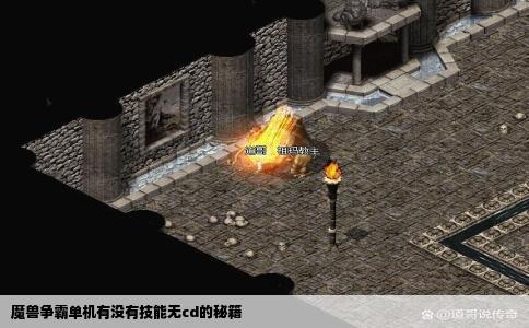 魔兽争霸单机有没有技能无cd的秘籍