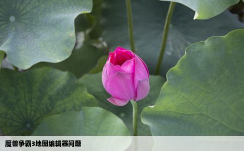 魔兽争霸地图编辑器问题