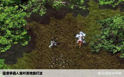 魔兽争霸人族对其他族打法