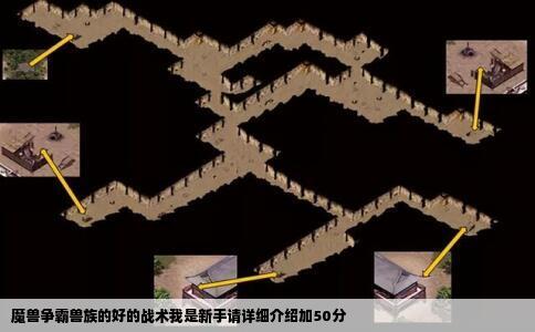 魔兽争霸兽族的好的战术我是新手请详细介绍加50分