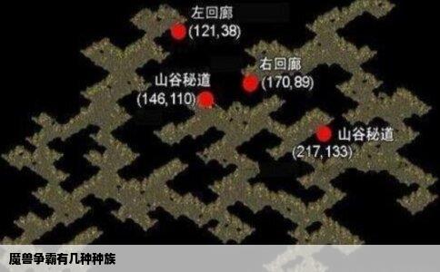 魔兽争霸有几种种族