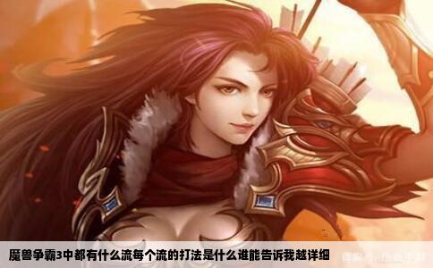 魔兽争霸3中都有什么流每个流的打法是什么谁能告诉我越详细