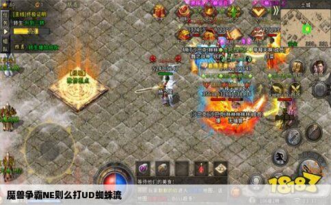 魔兽争霸NE则么打UD蜘蛛流