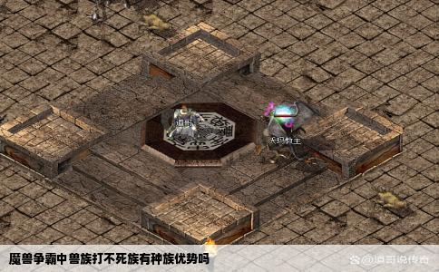 魔兽争霸中兽族打不死族有种族优势吗