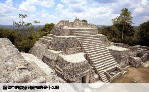 魔兽中的微操到底指的是什么呀