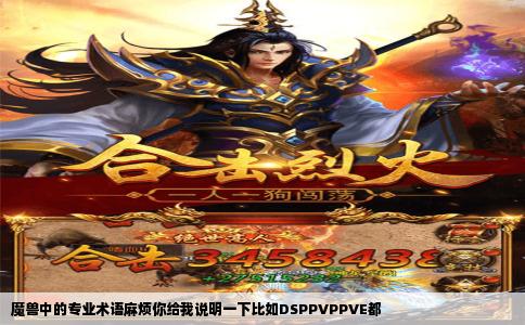 魔兽中的专业术语麻烦你给我说明一下比如DSPPVPPVE都