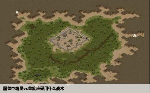 魔兽中精灵vs兽族应采用什么战术