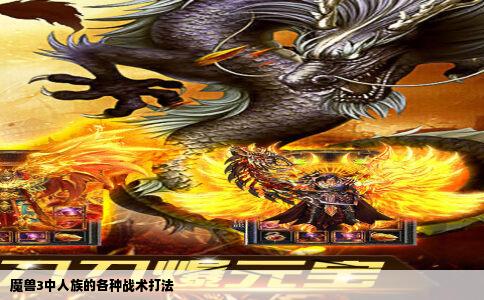 魔兽3中人族的各种战术打法