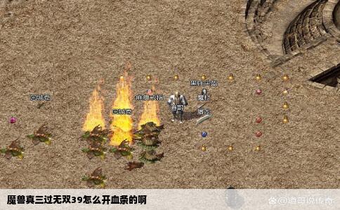 魔兽真三过无双39怎么开血条的啊