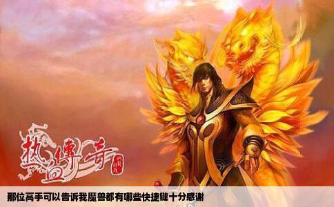 那位高手可以告诉我魔兽都有哪些快捷键十分感谢