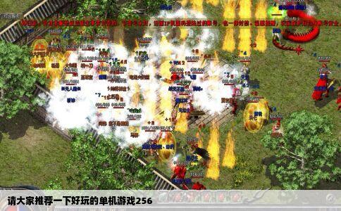 请大家推荐一下好玩的单机游戏256