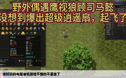 求好玩的电脑单机游戏不懂的不要来了