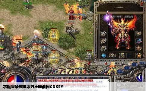 求魔兽争霸III冰封王座战网CDKEY