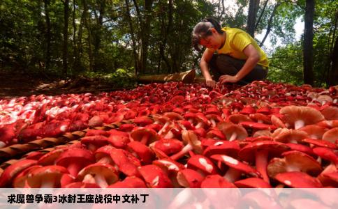 求魔兽争霸3冰封王座战役中文补丁