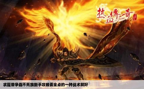 求魔兽争霸不死族新手攻略要全点的一种战术就好