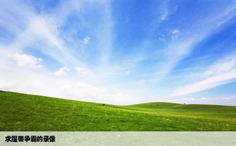 求魔兽争霸的录像