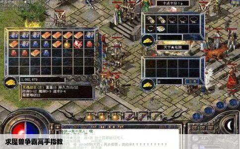 求魔兽争霸高手指教