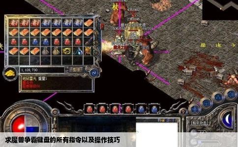 求魔兽争霸键盘的所有指令以及操作技巧