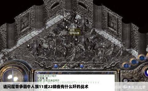 请问魔兽争霸中人族11或22暗夜有什么好的战术