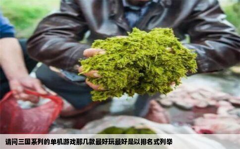 请问三国系列的单机游戏那几款最好玩最好是以排名式列举