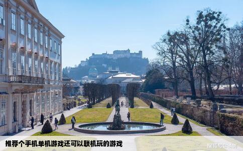 推荐个手机单机游戏还可以联机玩的游戏