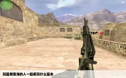 玩魔兽澄海的人一般都玩什么版本