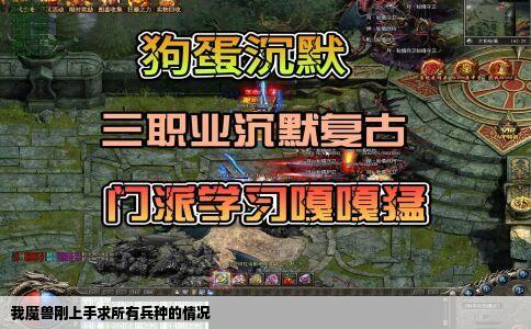 我魔兽刚上手求所有兵种的情况