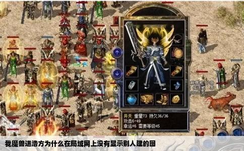 我魔兽进浩方为什么在局域网上没有显示别人建的图