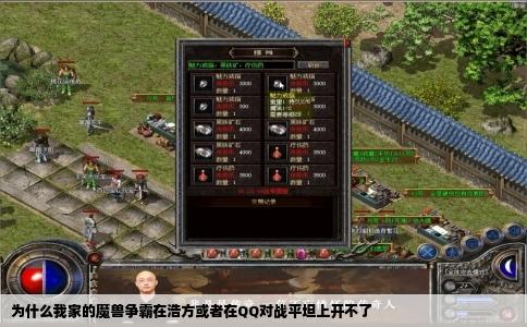 为什么我家的魔兽争霸在浩方或者在QQ对战平坦上开不了
