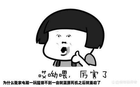 为什么我家电脑一玩魔兽不到一会就蓝屏死机之后就重启了