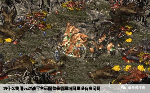 为什么我用vs对战平台玩魔兽争霸局域网里没有房间啊