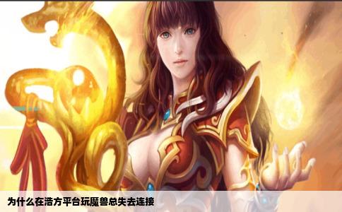 为什么在浩方平台玩魔兽总失去连接