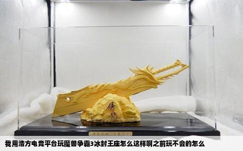 我用浩方电竞平台玩魔兽争霸3冰封王座怎么这样啊之前玩不会的怎么